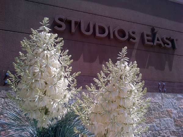 Studios East in Austin TX